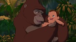 Image Tarzan