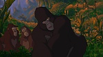 Image Tarzan