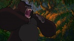 Image Tarzan