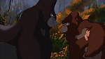Image Tarzan