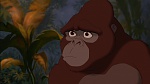 Image Tarzan