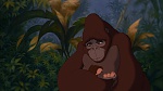 Image Tarzan