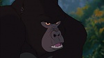 Image Tarzan