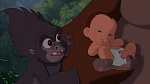 Image Tarzan