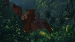 Image Tarzan
