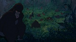 Image Tarzan