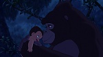 Image Tarzan