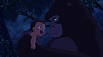 Image Tarzan
