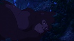 Image Tarzan