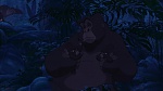 Image Tarzan