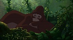 Image Tarzan