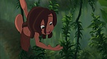 Image Tarzan