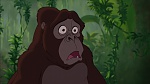 Image Tarzan