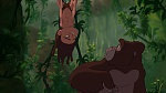 Image Tarzan