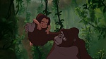 Image Tarzan