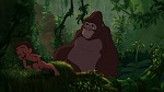 Image Tarzan