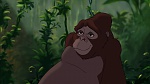 Image Tarzan