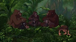 Image Tarzan