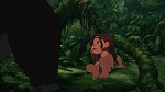 Image Tarzan