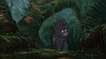 Image Tarzan