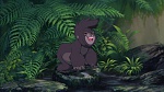 Image Tarzan