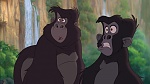 Image Tarzan