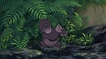 Image Tarzan