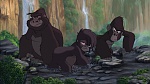 Image Tarzan