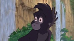 Image Tarzan