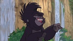 Image Tarzan