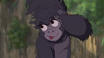 Image Tarzan