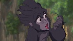 Image Tarzan
