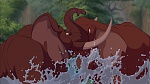 Image Tarzan