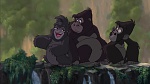 Image Tarzan