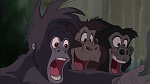 Image Tarzan