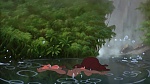 Image Tarzan