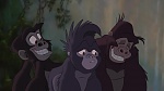 Image Tarzan