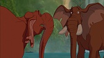 Image Tarzan