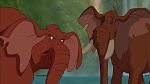 Image Tarzan