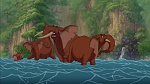 Image Tarzan