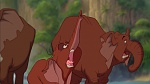 Image Tarzan
