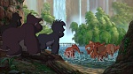 Image Tarzan