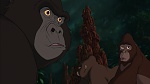 Image Tarzan