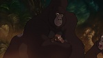 Image Tarzan