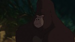 Image Tarzan