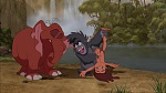 Image Tarzan