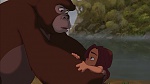 Image Tarzan