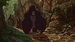 Image Tarzan