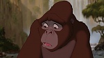 Image Tarzan