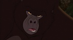 Image Tarzan